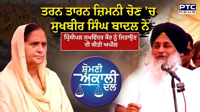 Tarntaran bye election : Principal Sukhwinder Kaur Randhawa  ਦੇ ਹੱਕ 'ਚ Sukhbir Singh Badal ਦਾ ਚੋਣ ਪ੍ਰਚਾਰ