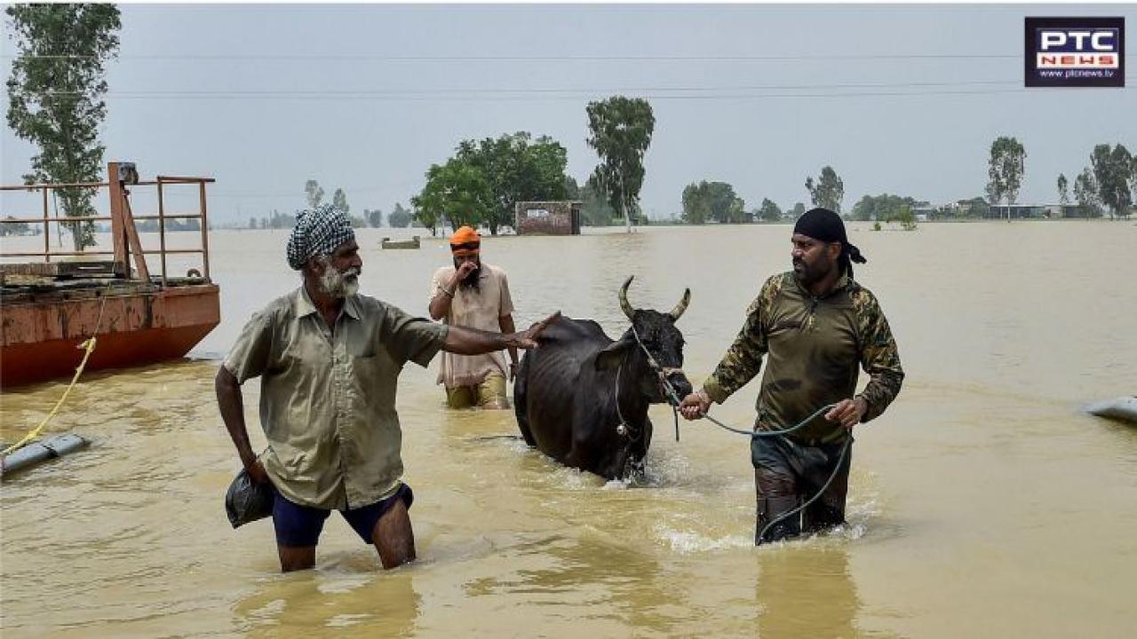 Punjab on high alert: Ranjit Sagar Dam releases water; early October could bring record-breaking rains