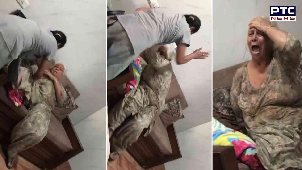 Punjab shocker: Daughter-in-law brutally assaults elderly mother-in-law in Gurdaspur, women panel seeks report | Watch video