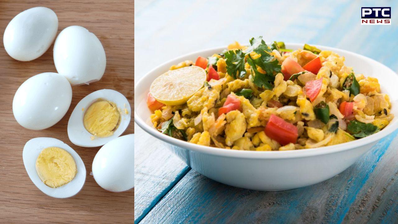 World Record : 5001 ਅੰਡਿਆਂ ਦੀ ਭੁਰਜੀ...! ਨਾਗਪੁਰ 'ਚ ਸ਼ਖਸ ਨੇ ਬਣਾਇਆ ਅਨੋਖਾ ਵਿਸ਼ਵ ਰਿਕਾਰਡ