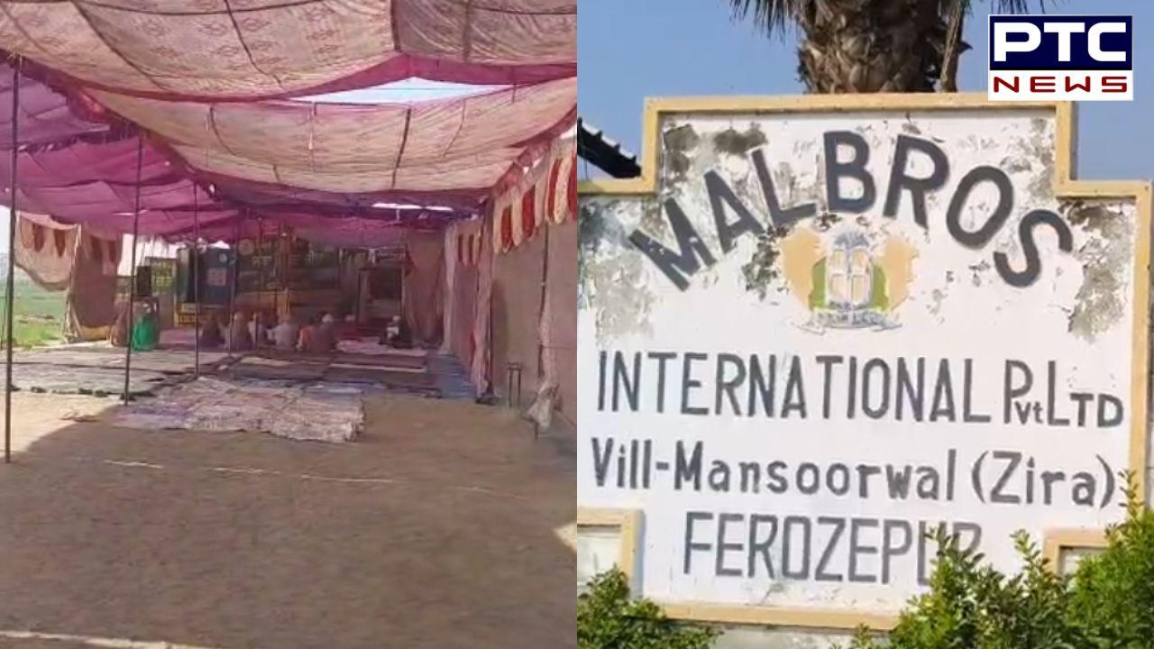 Punjab govt confirms permanent closure of Zira liquor factory after admitting pollution violations before NGT