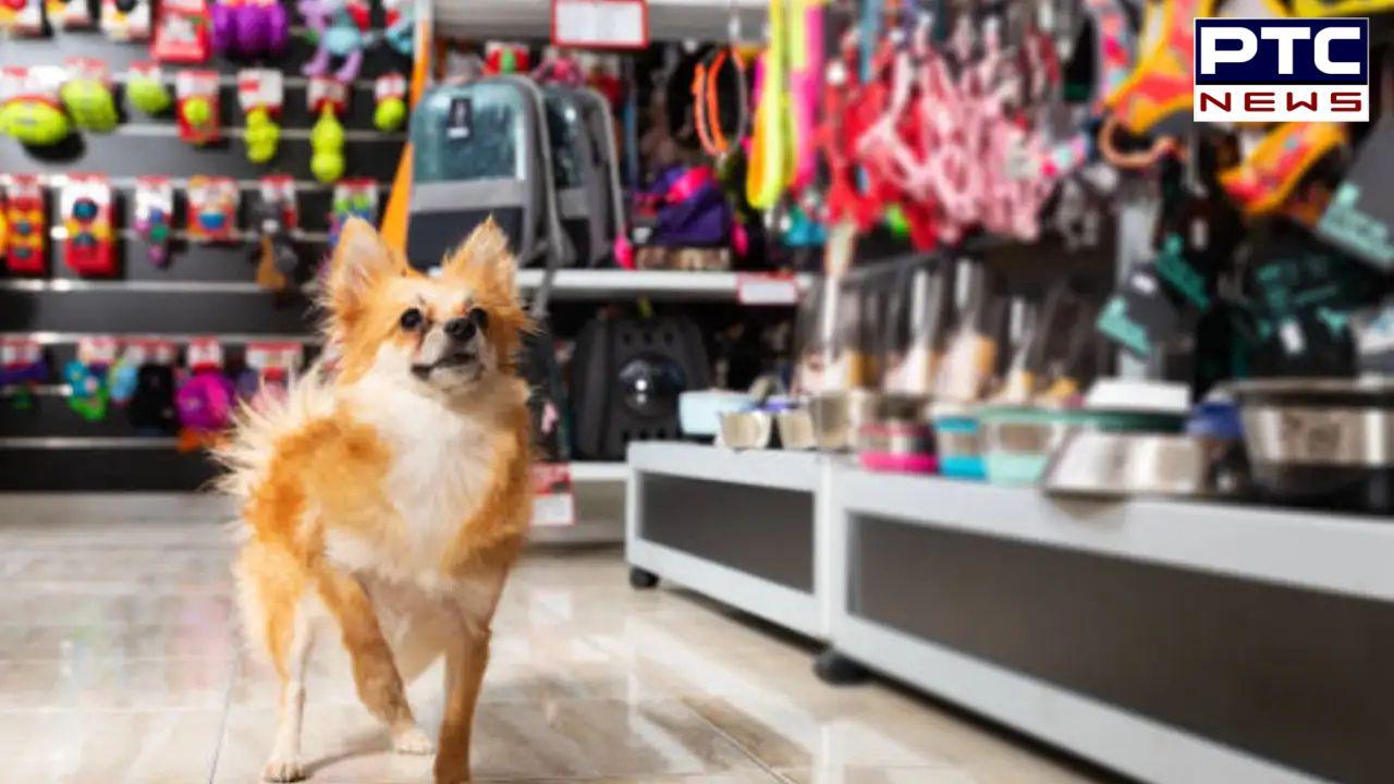 Pet Shops And Dog Breeding ਦਾ ਕਾਰੋਬਾਰ ਕਰਨ ਵਾਲੇ ਵਿਅਕਤੀਆਂ ਨੂੰ ਪਸ਼ੂ ਭਲਾਈ ਬੋਰਡ ਵੱਲੋਂ ਇਹ ਹੁਕਮ ਜਾਰੀ