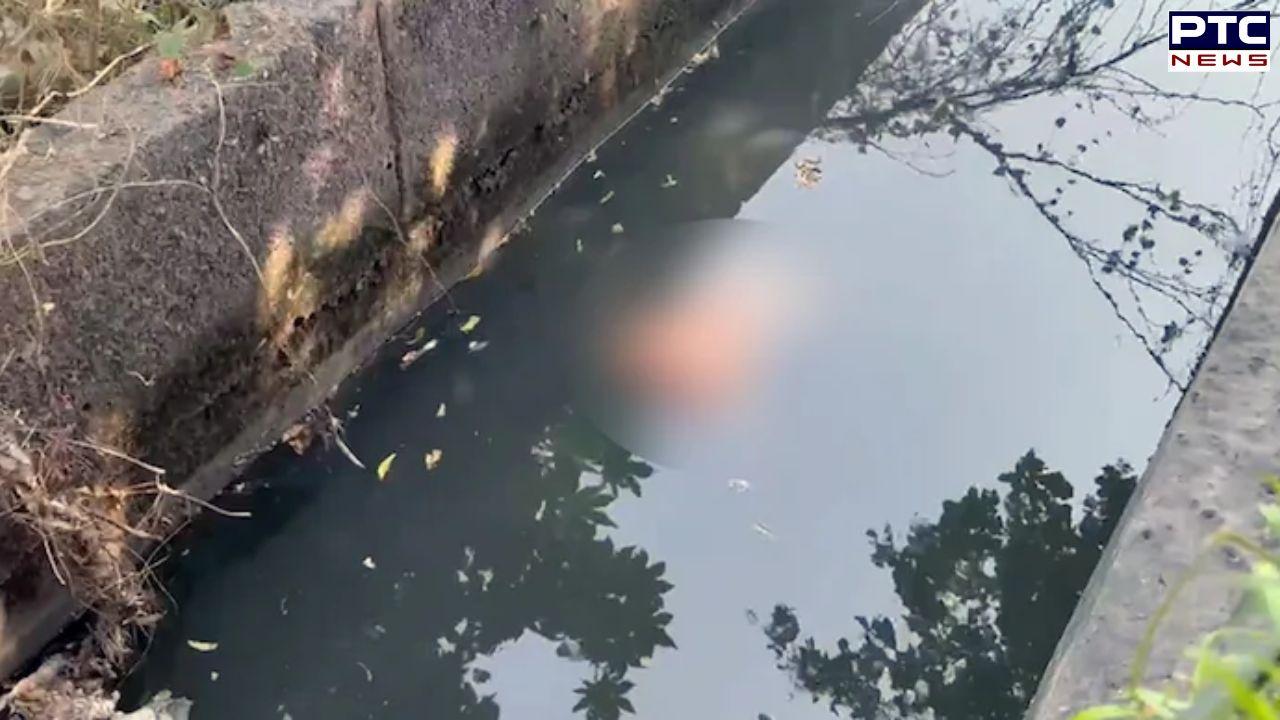 Woman's body found severely mutilated in Noida's posh locality; head, hands chopped off