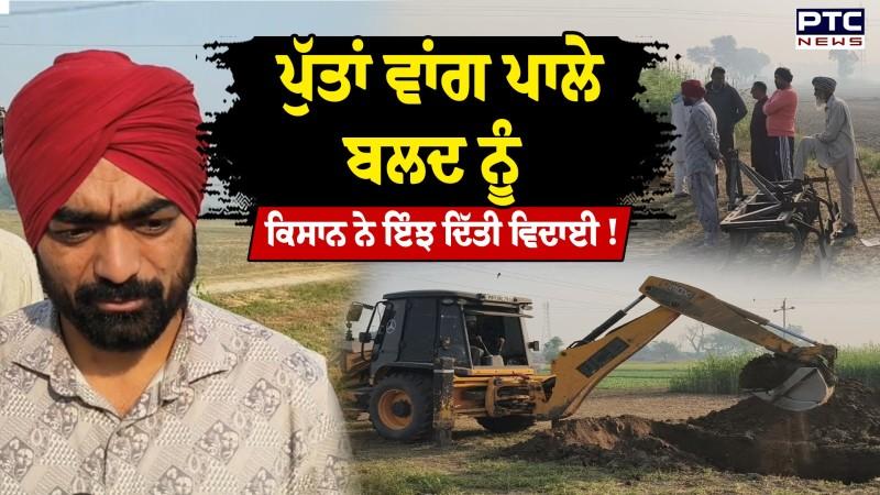 ਪੁੱਤਾਂ ਵਾਂਗ ਪਾਲੇ ਬਲਦ ਨੂੰ ਕਿਸਾਨ ਨੇ ਇੰਝ ਦਿੱਤੀ ਵਿਦਾਈ !