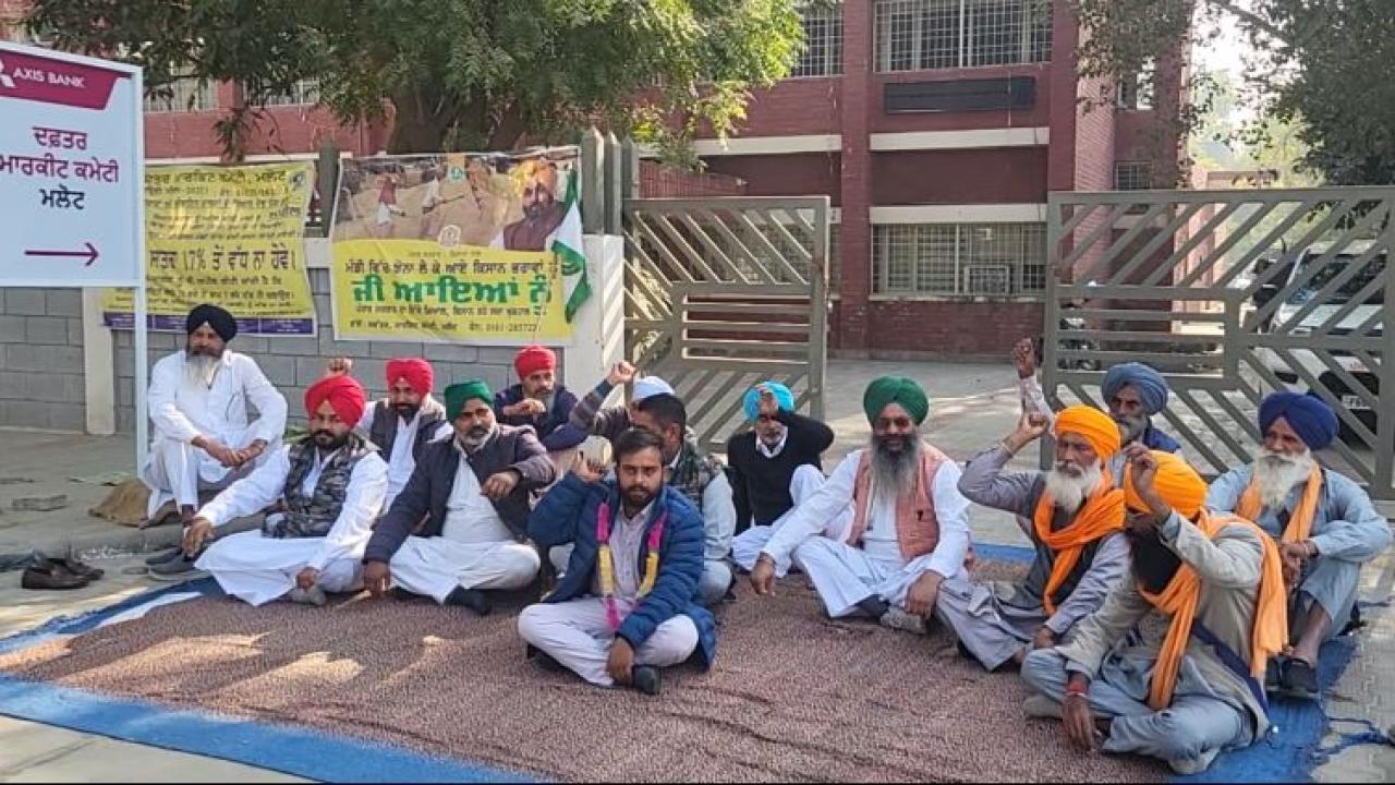 ਮਲੋਟ ਦੀ ਦਾਣਾ ਮੰਡੀ 'ਚ ਨੌਜਵਾਨ ਕਿਸਾਨ ਨੇ ਆਪਣੇ ਝੋਨੇ ਨੂੰ ਲਾਈ ਅੱਗ, 20 ਦਿਨਾਂ ਤੋਂ ਨਹੀਂ ਵਿਕ ਰਹੀ ਸੀ ਫਸਲ