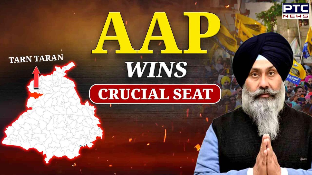 Luciana cedeño porn