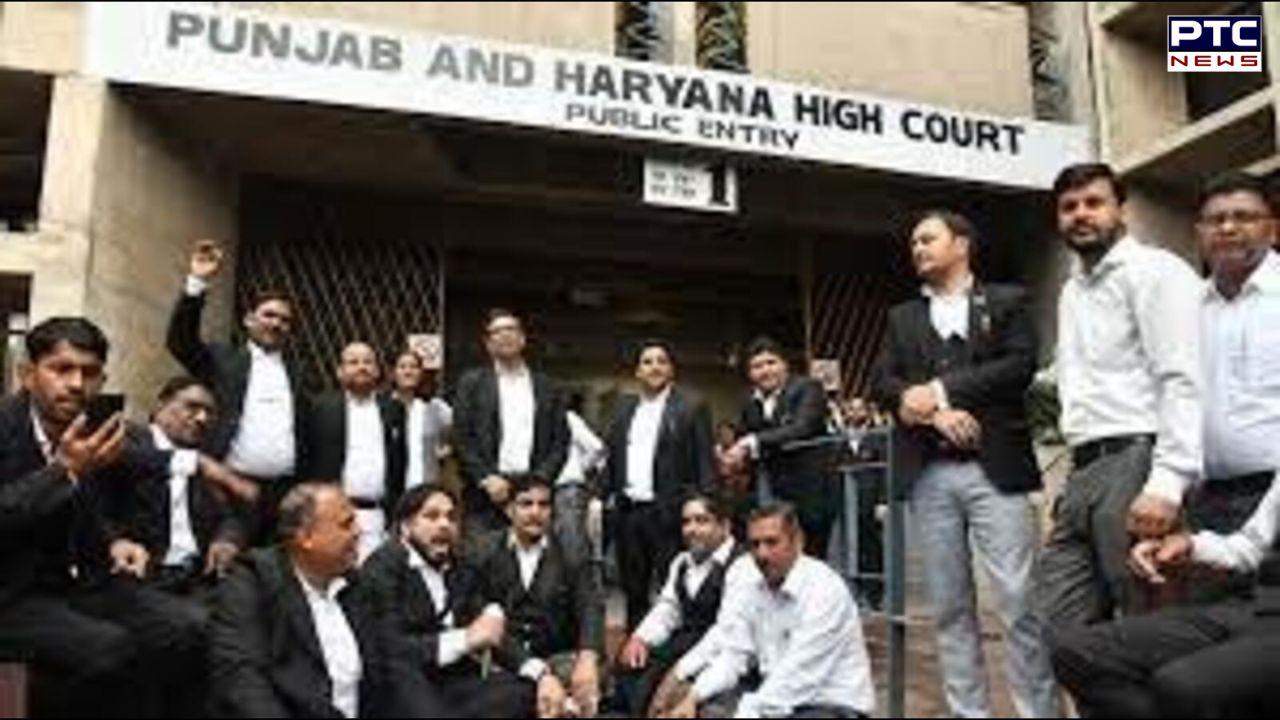 ਪੰਜਾਬ-ਹਰਿਆਣਾ ਹਾਈਕੋਰਟ 'ਚ ਵਕੀਲਾਂ ਦੀ ਹੜਤਾਲ ਹੋਈ ਖ਼ਤਮ, ਸੀਏਆਈ-1 ਹਿਸਾਰ ਦੇ ਅਧਿਕਾਰਆਂ ਖਿਲਾਫ਼ ਕਾਰਵਾਈ ਦਾ ਮਿਲਿਆ ਭਰੋਸਾ