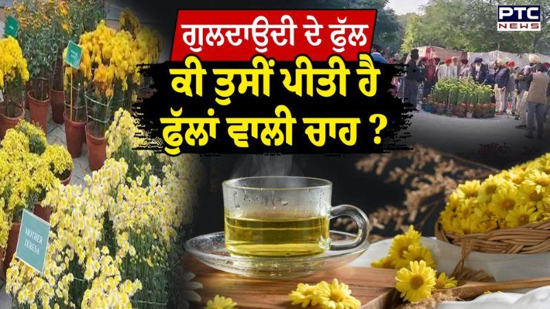 ਇਹ ਫੁੱਲ ਜਿੰਨੇ ਸੋਹਣੇ ਉਨ੍ਹੀ ਦੀ ਸੁਆਦ ਬਾਣਦੀ ਹੈ ਇਨ੍ਹਾਂ ਫੁੱਲਾਂ ਦੀ ਚਾਹ ! | Ludhiana News | Punjabi News