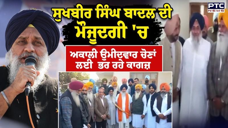Sukhbir Singh Badal ਦੀ ਮੌਜੂਦਗੀ 'ਚ ਅਕਾਲੀ ਉਮੀਦਵਾਰ ਚੋਣਾਂ ਲਈ ਭਰ ਰਹੇ ਕਾਗਜ਼