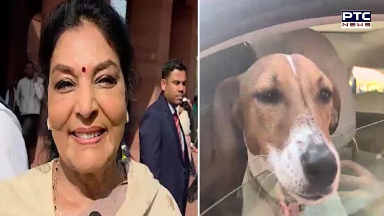 Renuka Chowdhury sparks row by bringing pet dog to Parliament, says ‘Harmless animal, real threat is inside’