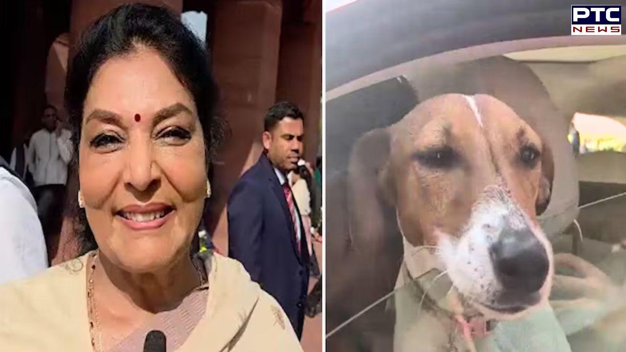 'Woof Woof': Congress MP Renuka Chowdhary's bizarre reply over dog row