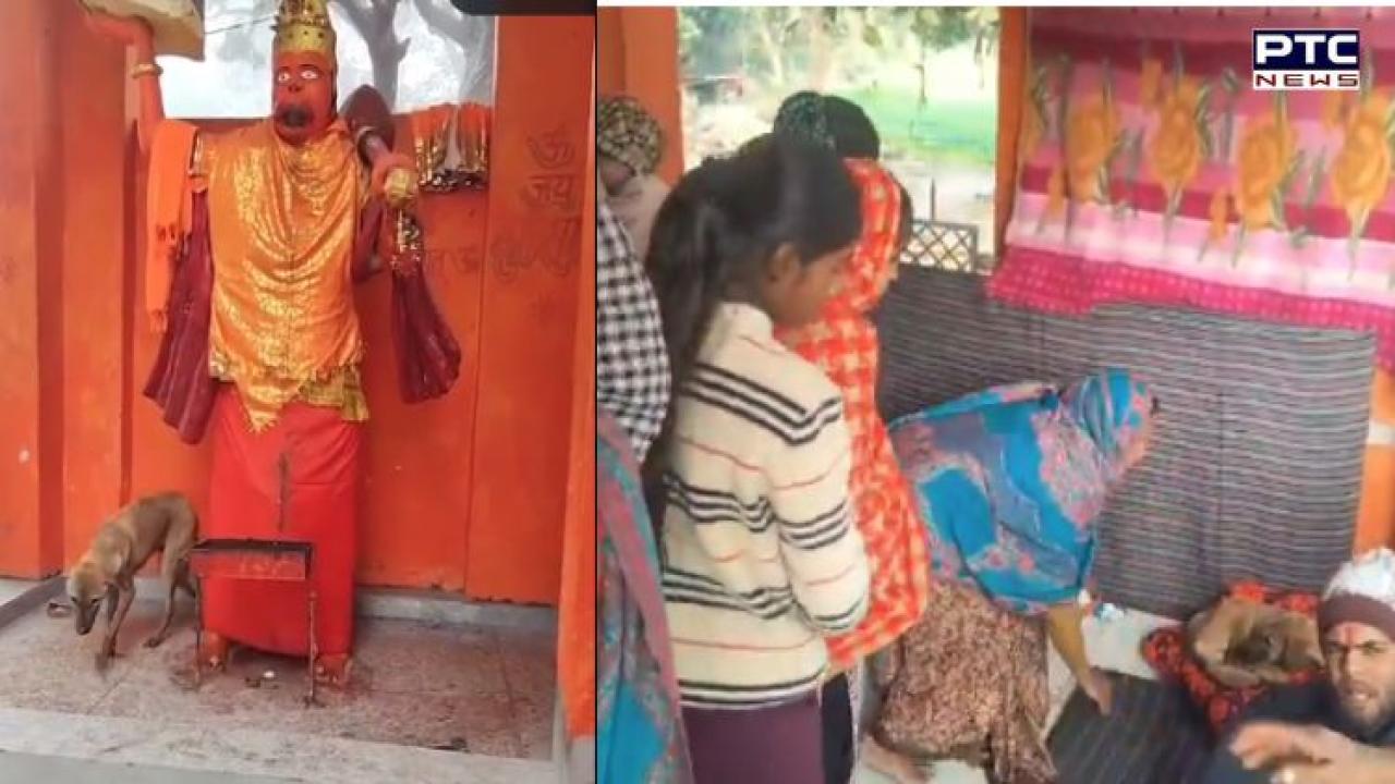Viral: Dog walks in circles at Hanuman Temple; Internet split between faith and science