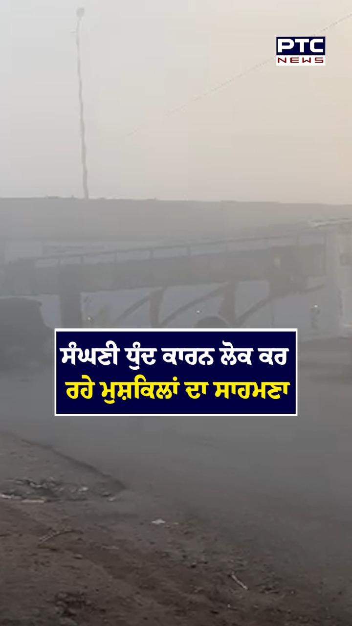 Rajpura : ਸੰਘਣੀ ਧੁੰਦ ਕਾਰਨ ਲੋਕ ਕਰ ਰਹੇ ਮੁਸ਼ਕਿਲਾਂ ਦਾ ਸਾਹਮਣਾ