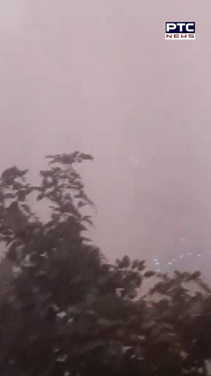 ਪੰਜਾਬ ’ਚ ਸੰਘਣੀ ਧੁੰਦ ਦਾ ਕਹਿਰ