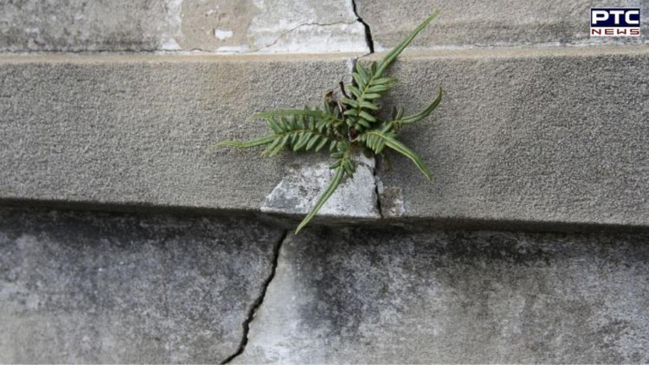 Cracks force 15 families to vacate Shimla building, 4-lane project under scrutiny