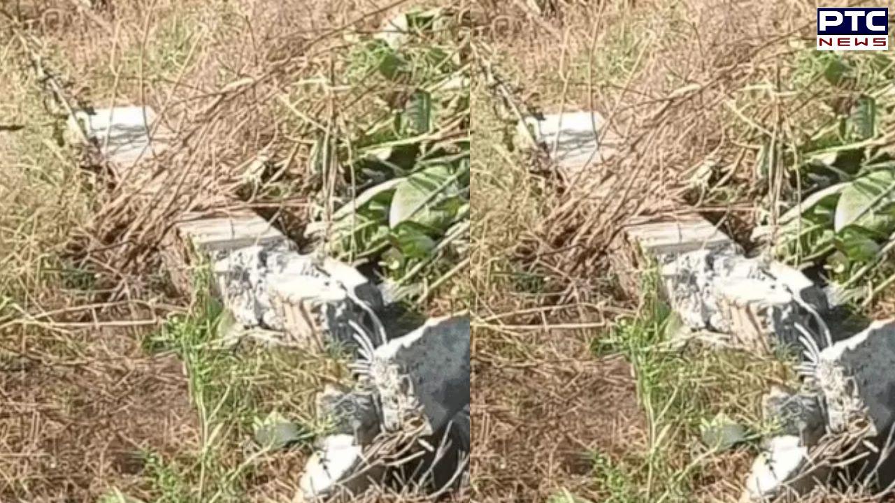 Punjab: Massive explosion on railway line in Sirhind, no casualties reported