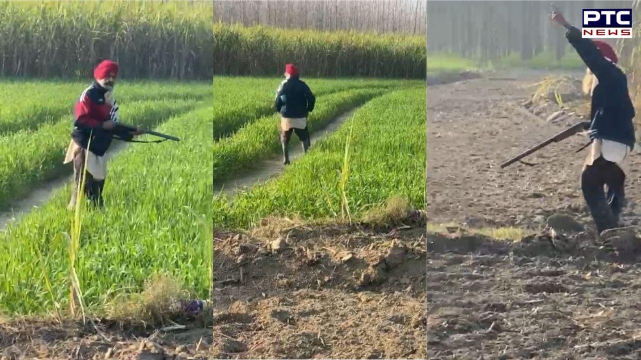 Dasuya Firing : ਦਸੂਹਾ 'ਚ ਜ਼ਮੀਨੀ ਵਿਵਾਦ ਨੂੰ ਲੈ ਕੇ ਦੋ ਧਿਰਾਂ 'ਚ ਚੱਲੀਆਂ ਗੋਲੀਆਂ, ਪਿੰਡ 'ਚ ਤਣਾਅ ਦਾ ਮਾਹੌਲ