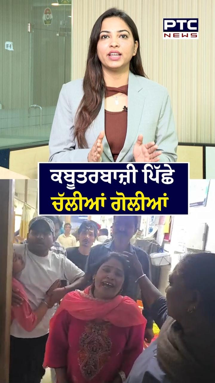 ਕਬੂਤਰਬਾਜ਼ੀ ਪਿੱਛੇ ਚੱਲੀਆਂ ਗੋਲੀਆਂ