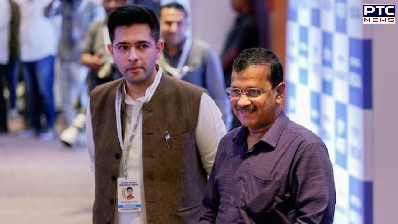 Silenced, not defeated: Raghav Chadha's first reaction after being removed as AAP's deputy leader in Rajya Sabha