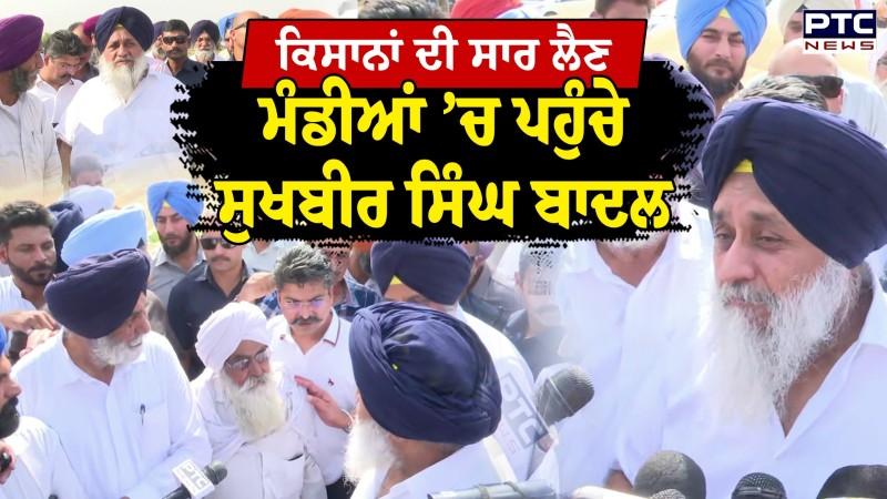 Sukhbir Singh Badal ਨੇ ਅਨਾਜ ਮੰਡੀਆਂ ਦਾ ਕੀਤਾ ਦੌਰਾ, ਦਿਖਾਏ ਕੀ ਨੇ ਅਸਲ ਹਾਲਾਤ ?
