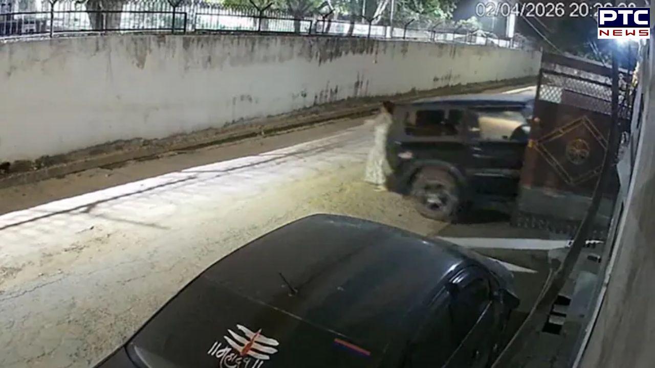 UP tragedy: Elderly woman crushed to death due to handbrake error while helping grandson park his Thar