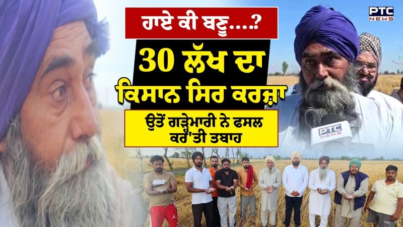 Wheat Crop Damage : 30 ਲੱਖ ਦਾ ਕਿਸਾਨ ਸਿਰ ਕਰਜ਼ਾ ਉਤੋਂ ਗੜ੍ਹੇਮਾਰੀ ਨੇ ਫਸਲ ਕਰ'ਤੀ ਤਬਾਹ