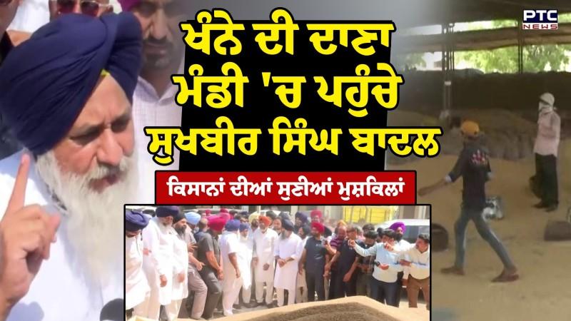 Khanna ਦੀ ਦਾਣਾ ਮੰਡੀ 'ਚ ਪਹੁੰਚੇ Sukhbir Singh Badal, ਕਿਸਾਨਾਂ ਦੀਆਂ ਸੁਣੀਆਂ ਮੁਸ਼ਕਿਲਾਂ