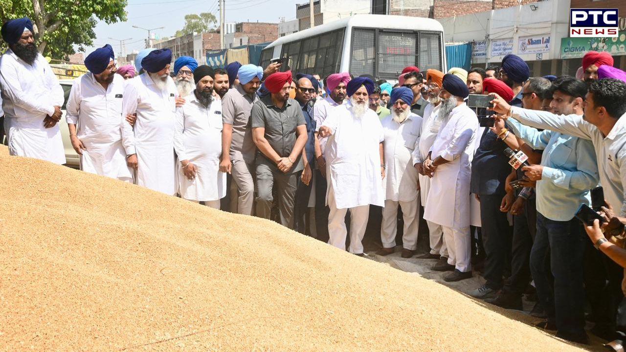 ਕਣਕ ਦੀ ਖਰੀਦ ਲਈ ਨਮੀ 'ਚ ਛੋਟ ਹਾਸਲ ਕਰਨ 'ਚ ਅਸਫਲਤਾ ਲਈ ਮੁੱਖ ਮੰਤਰੀ ਜ਼ਿੰਮੇਵਾਰ : ਸੁਖਬੀਰ ਸਿੰਘ ਬਾਦਲ