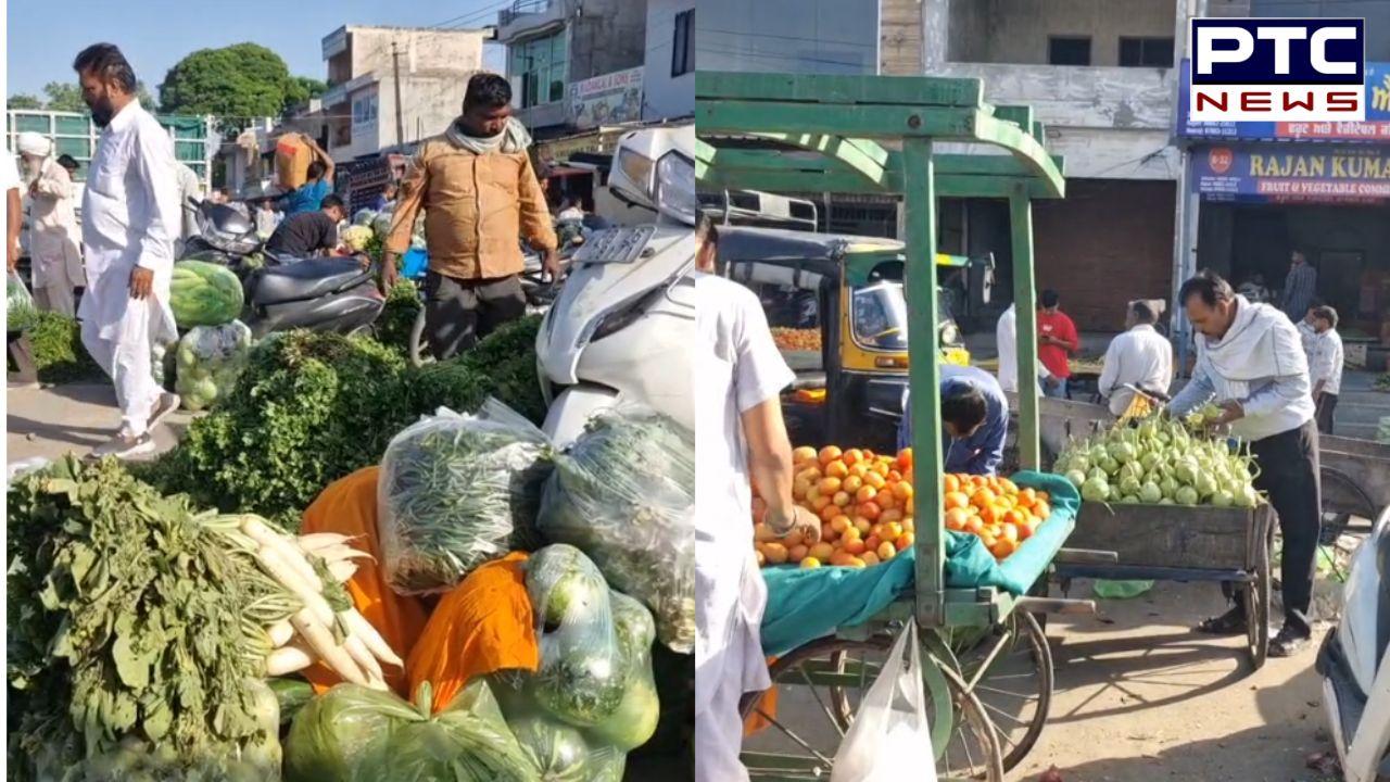 Khanna ਸਬਜ਼ੀ ਮੰਡੀ ਵਿੱਚ ਬੰਪਰ ਪੈਦਾਵਾਰ ਦਾ ਉਲਟ ਅਸਰ ; ਕਿਸਾਨਾਂ ਨੂੰ ਨਹੀਂ ਮਿਲ ਰਹੇ ਵਾਜਬ ਭਾਅ