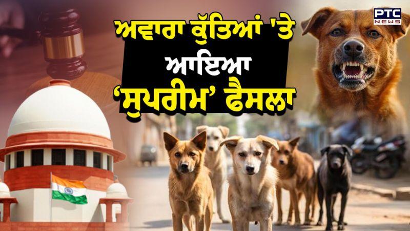 ਅਵਾਰਾ ਕੁੱਤਿਆਂ 'ਤੇ ਆਇਆ ‘ਸੁਪਰੀਮ’ ਫੈਸਲਾ, ਕੁੱਤਿਆਂ ਨੂੰ ਜਨਤਕ ਥਾਵਾਂ ਤੋਂ ਹਟਾਉਣ ਦਾ ਆਦੇਸ਼ ਬਰਕਰਾਰ | Punjabi News