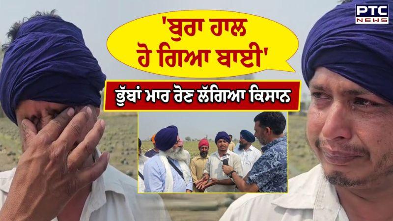 ਭੁੱਬਾਂ ਮਾਰ ਰੋਣ ਲੱਗਿਆ ਕਿਸਾਨ, ਗੜ੍ਹੇਮਾਰੀ ਕਾਰਨ ਫਸਲ ਹੋਈ ਬਰਬਾਦ | Moga | Punjabi News | Hailstorm