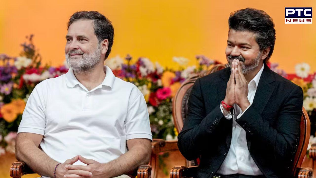 AIADMK faction support, one less MLA: What's on cards for 'Thalapathy' Vijay as he faces floor test on May 13