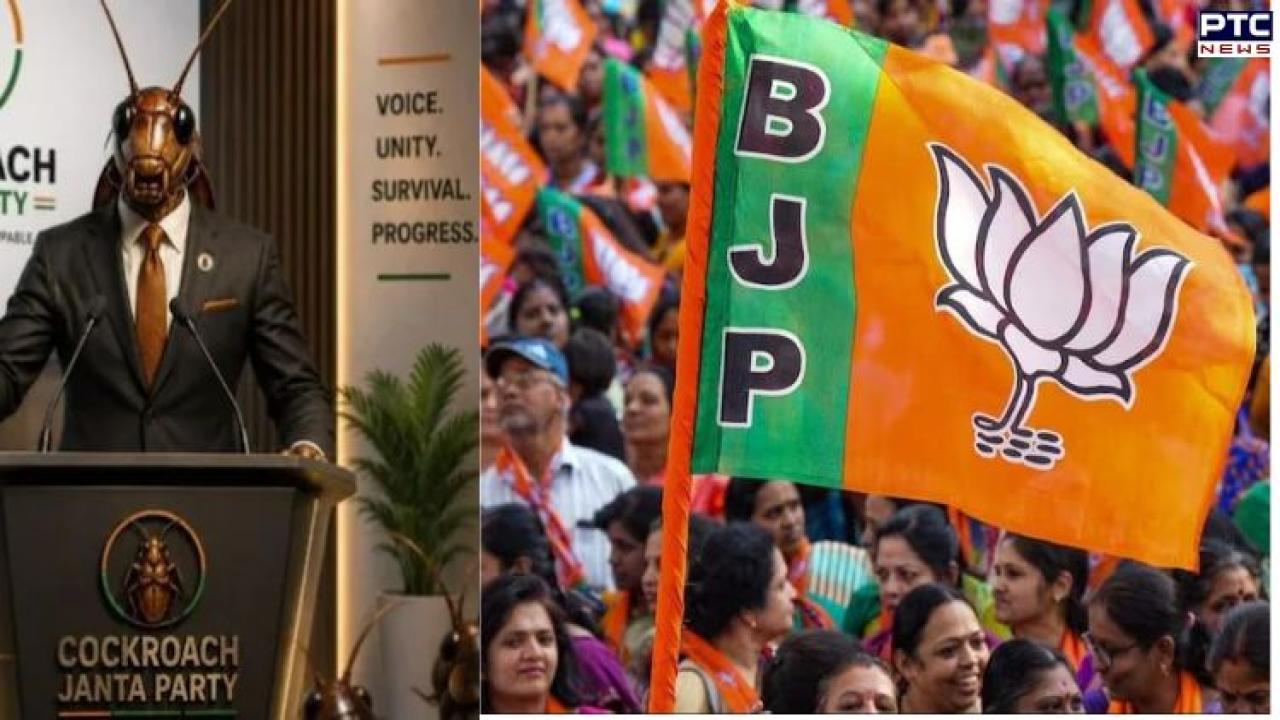From meme to movement: ‘Cockroach Janta Party’ surpasses BJP on Instagram in just five days