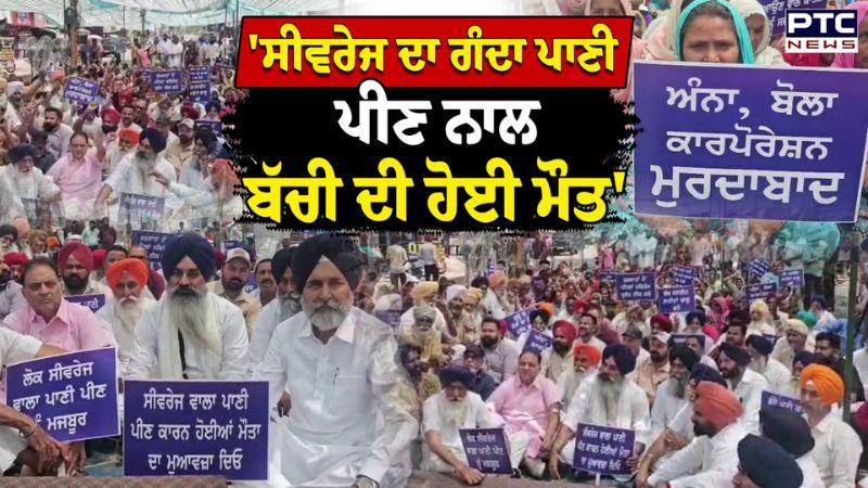 Shiromani Akali Dal ਨੇ ਮੁਆਵਜ਼ੇ ਲਗਾਇਆ ਧਰਨਾ ਮੋਗਾ ਕਾਰਪੋਰੇਸ਼ਨ ਖਿਲਾਫ਼ ਖੋਲ੍ਹਿਆ ਮੋਰਚਾ | Punjabi News