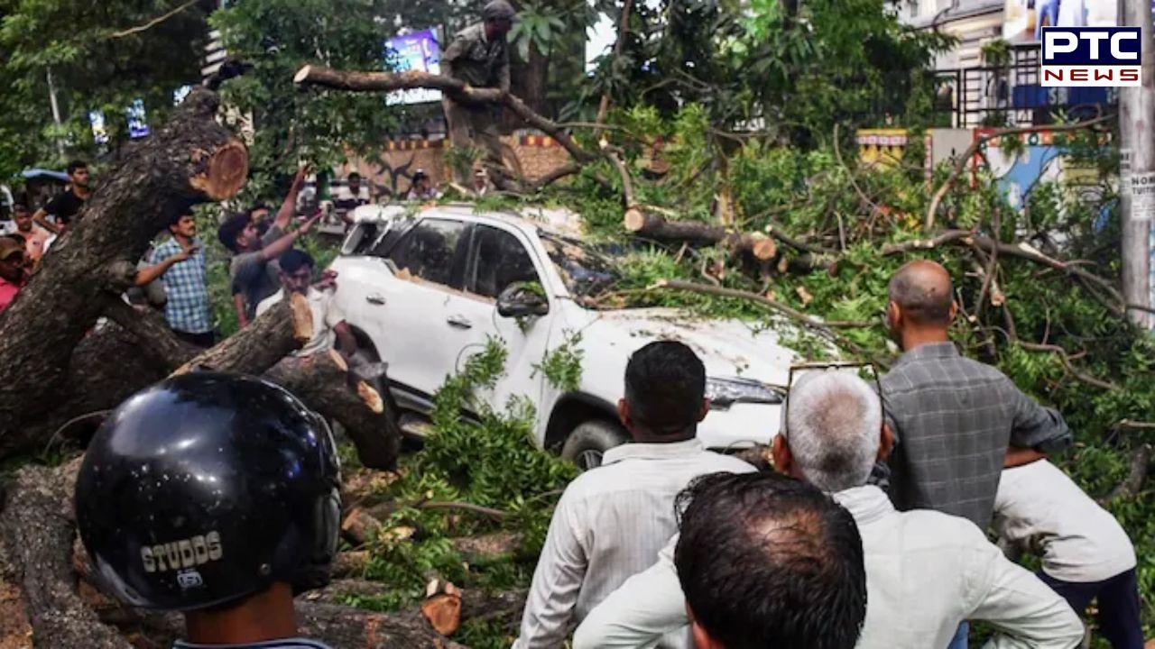 UP killer storm: Over 50 killed as powerful storm, heavy rains sweep several districts