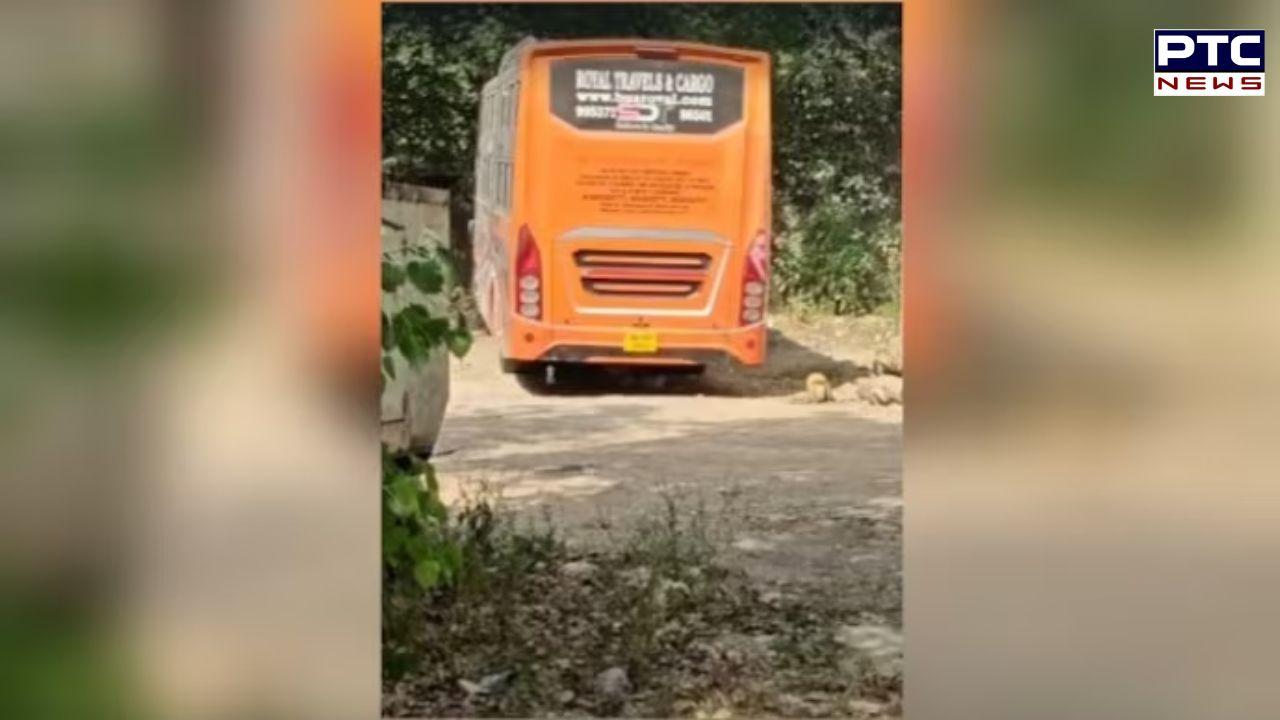 Delhi horror: Woman sexually assaulted inside bus in national capital, driver, conductor arrested