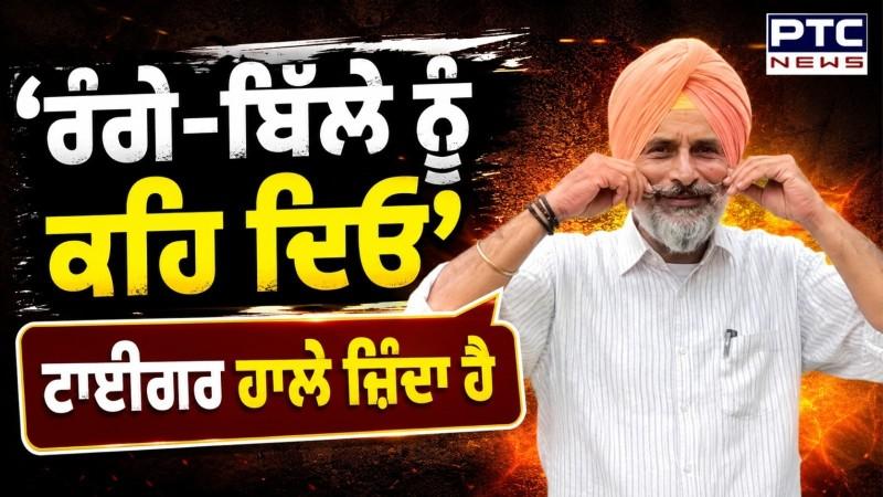 ਰੰਗੇ ਬਿੱਲੇ ਨੂੰ ਕਹਿ ਦਿਓ, ਟਾਈਗਰ ਜਿਉਂਦਾ ਹੈ, ਸੱਚ ਦੀ ਆਵਾਜ਼ ਨਾ ਕਦੇ ਝੁਕੀ ਸੀ, ਨਾ ਝੁਕੇਗੀ : ਬਿਕਰਮ ਸਿੰਘ ਮਜੀਠੀਆ