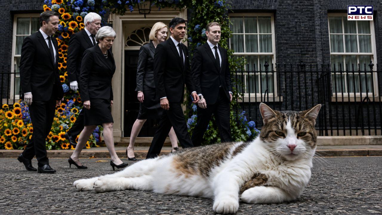 'Another one bites the dust': Cat Larry, Chief Mouser of 10 Downing Street who outlasted six UK PMs