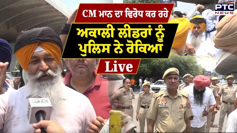 Ludhiana 'ਚ CM Bhagwant Mann ਨੂੰ ਅਕਾਲੀ ਲੀਡਰਾਂ ਨੇ ਦਿਖਾਈਆਂ ਕਾਲੀਆਂ ਝੰਡੀਆਂ, ਕੀਤਾ ਵਿਰੋਧ