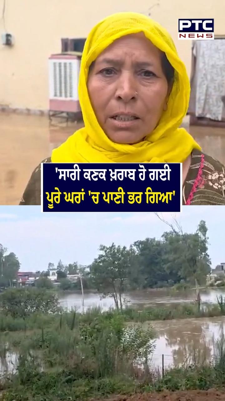 'ਸਾਰੀ ਕਣਕ ਖਰਾਬ ਹੋ ਗਈ ਪੂਰੇ ਘਰਾਂ ’ਚ ਪਾਣੀ ਭਰ ਗਿਆ'