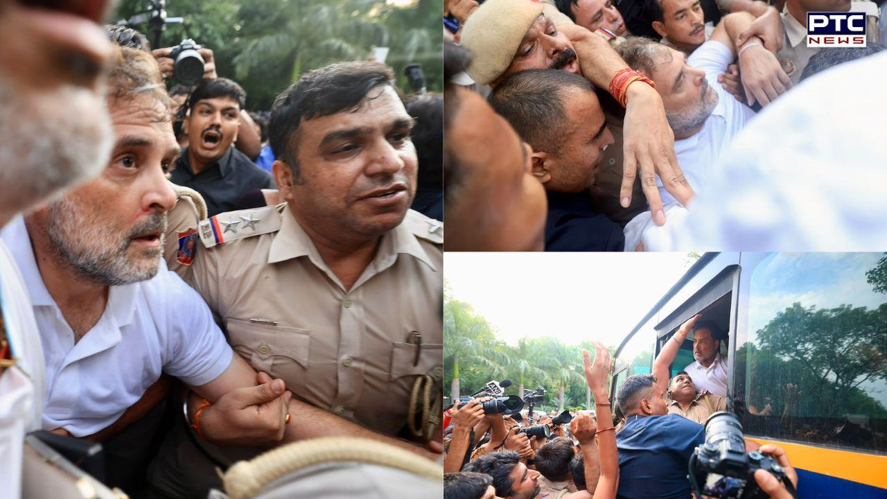 Rahul Gandhi, Akhilesh Yadav detained during protest outside PM Modi's residence