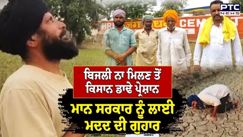 ਪੰਜਾਬ 'ਚ ਬਿਜਲੀ ਨਾ ਮਿਲਣ ਤੋਂ ਕਿਸਾਨ ਡਾਢੇ ਪ੍ਰੇਸ਼ਾਨ, ਕੈਮਰੇ ਅੱਗੇ ਝਲਕਿਆ ਦਰਦ