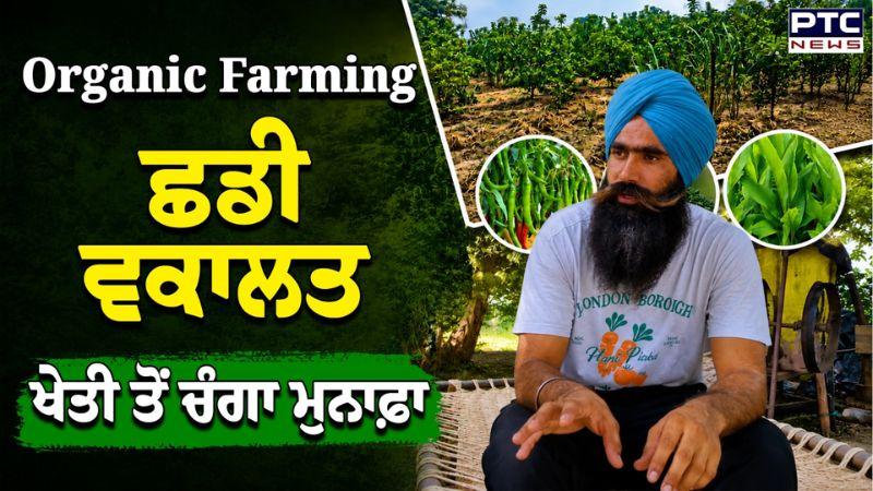 ਵਕਾਲਤ ਛੱਡ ਕੇ ਸ਼ੁਰੂ ਕੀਤੀ Organic Farming, ਖੇਤੀ ਦਾ ਇਹ ਮਾਡਲ ਕਰ ਸਕਦਾ ਹੈ ਕਿਸਾਨਾਂ ਨੂੰ ਮਾਲੋਮਾਲ | Bathinda