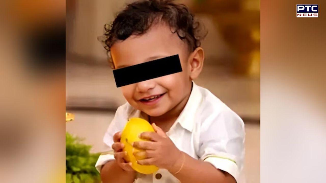Toddler dies after being administered anaesthesia for lip cut treatment, family alleges medical negligence