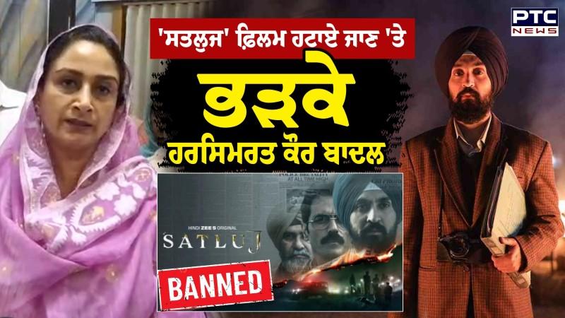 Diljit Dosanjh ਦੀ ਫਿਲਮ Satluj ਹਟਾਏ ਜਾਣ 'ਤੇ ਸਰਕਾਰ 'ਤੇ ਭੜਕੇ Harsimrat Kaur Badal