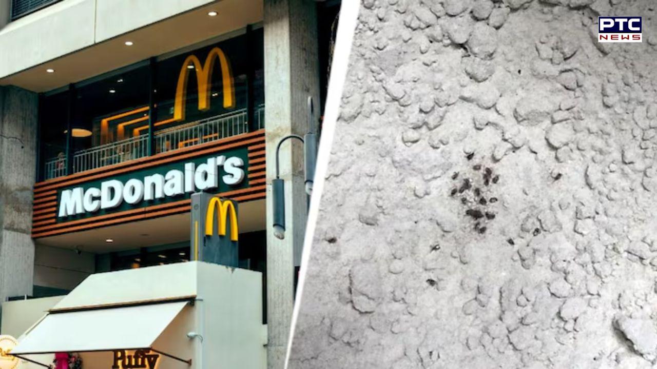 Maharashtra FDA action: Licence of McDonalds, Radio Club suspended after flies, cockroaches found