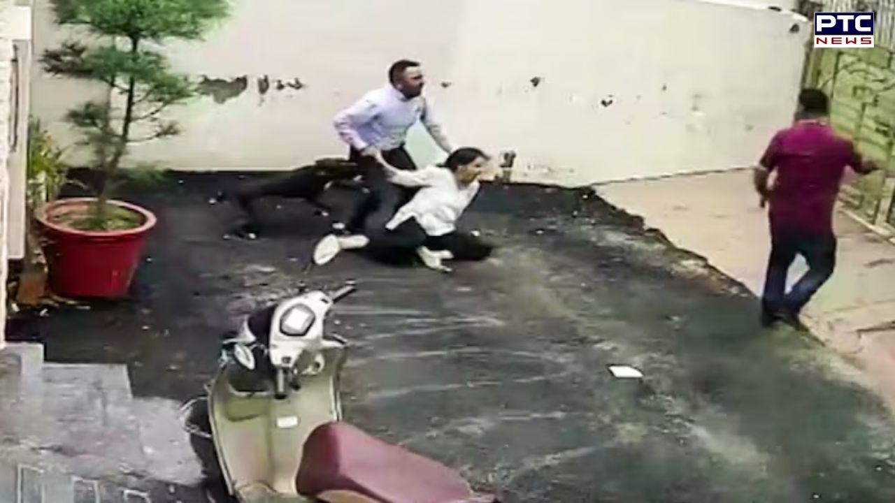 Punjab dog menace: Pitbull attacks couple in Patiala, mauls woman's arms; FIR registered