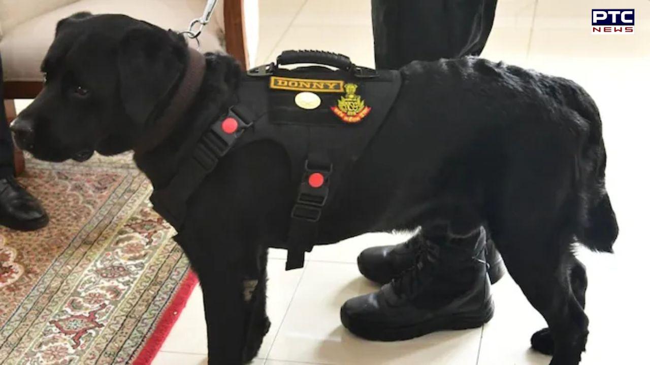 Red Fort blast: NSG sniffer dog Donny gets Army award on Independence Day for detecting explosives