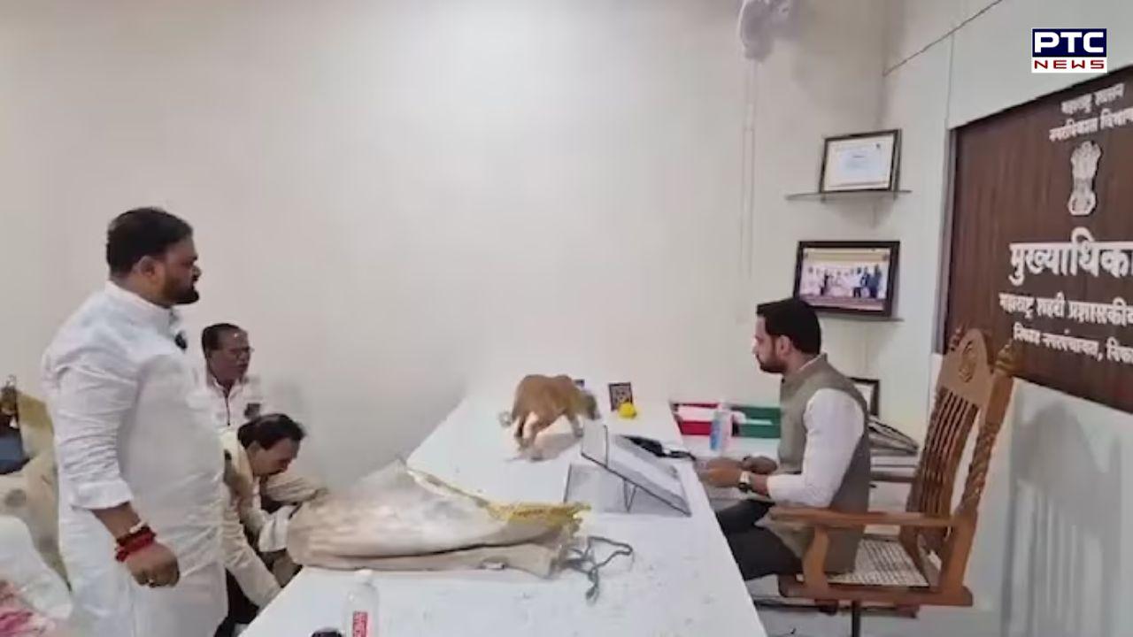 Unexpected protest: Yuva Sena workers release puppies on Nashik official's table to highlight stray dog menace | Watch