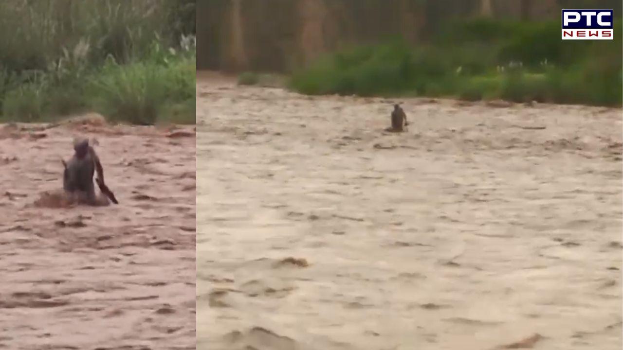 Sirmaur Rescue Video : ਹੜ੍ਹ ਰੂਪੀ ਨਦੀ 'ਚ ਮੌਤ ਨਾਲ ਕਈ ਘੰਟੇ ਜੂਝਦੀਆਂ ਰਹੀਆਂ ਦੋ ਜ਼ਿੰਦਗੀਆਂ, ਫੌਜ ਨੇ ਬਚਾਈ ਜਾਨ